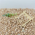 best quality chickpea/chick pea market price HPS